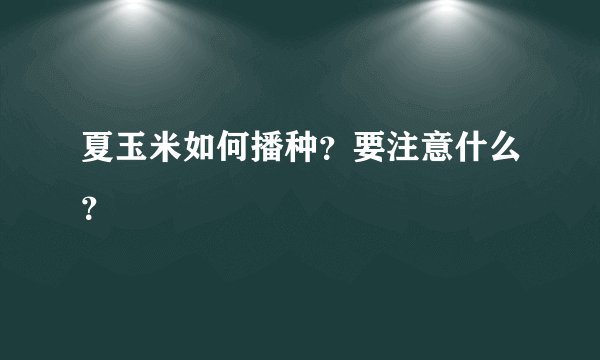 夏玉米如何播种？要注意什么？