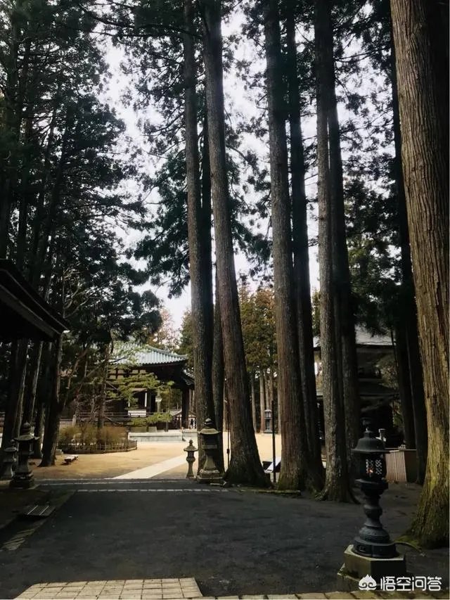 请问最近有没有去过高野山的朋友？