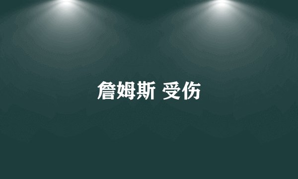 詹姆斯 受伤