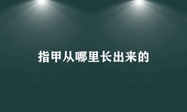 指甲从哪里长出来的