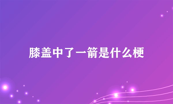 膝盖中了一箭是什么梗