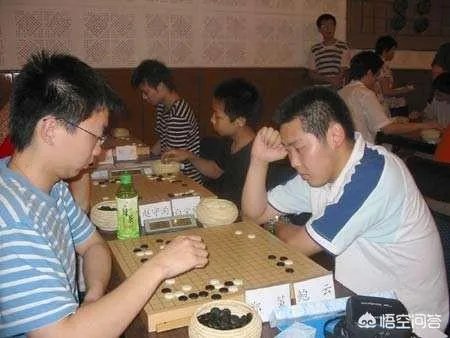 最强大脑鲍橒那么聪明,为什么只是围棋业余6段?