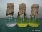 培养基的配制？