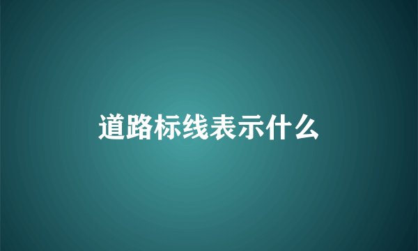 道路标线表示什么