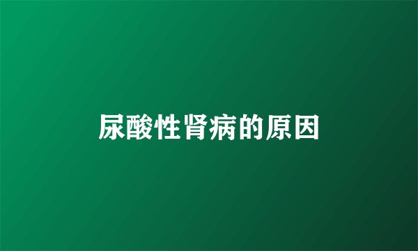 尿酸性肾病的原因
