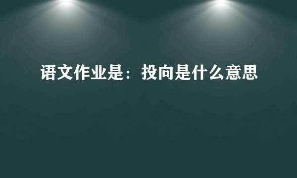 语文作业是：投向是什么意思