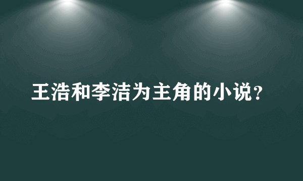 王浩和李洁为主角的小说？