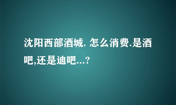 沈阳西部酒城. 怎么消费.是酒吧,还是迪吧...?
