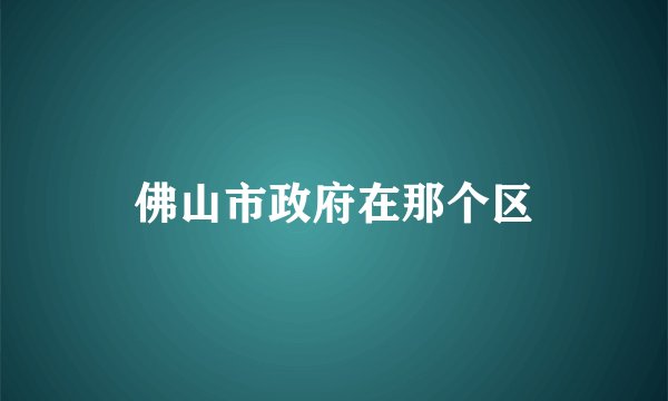 佛山市政府在那个区