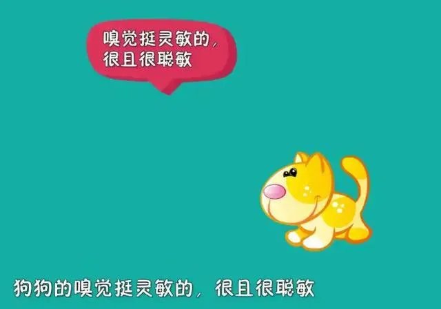 找狗的最好办法？