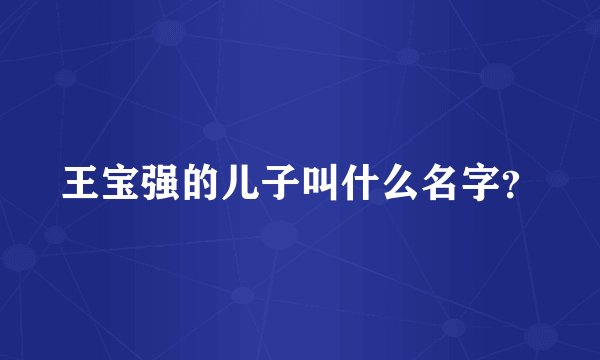 王宝强的儿子叫什么名字？