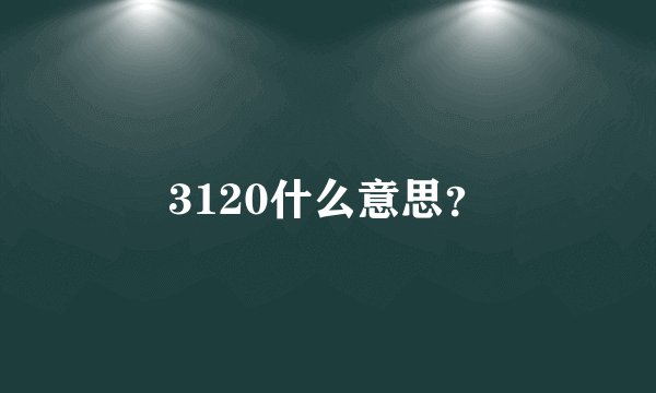 3120什么意思？