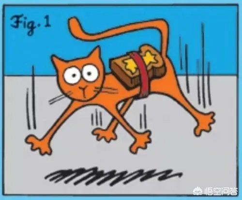 黄油猫悖论到底是否真实?