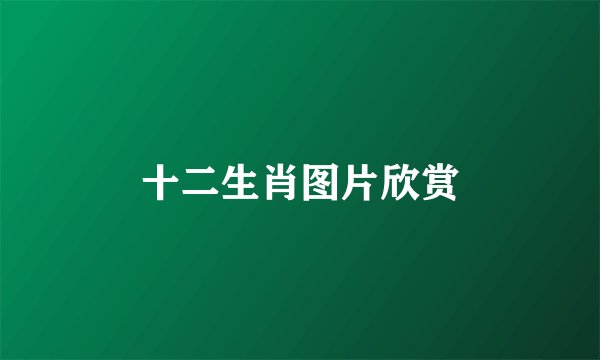 十二生肖图片欣赏