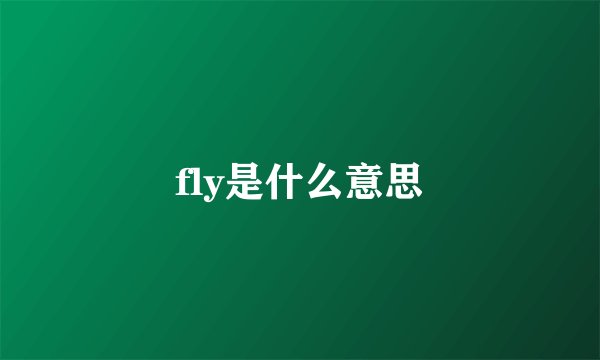 fly是什么意思