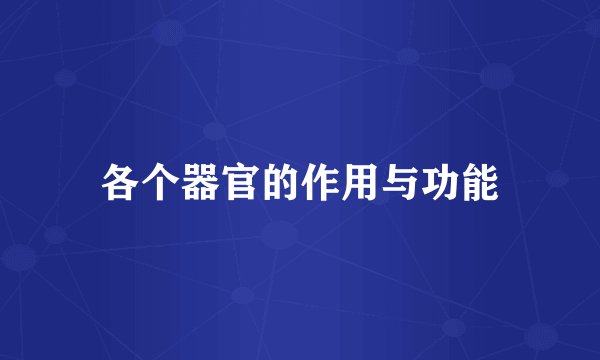 各个器官的作用与功能