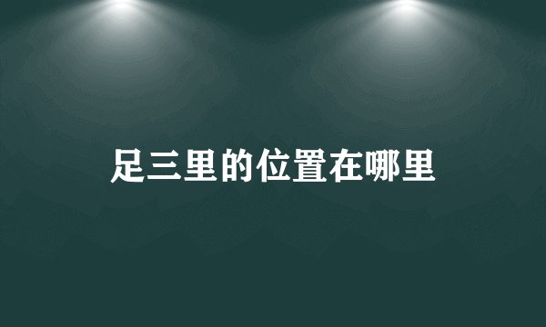 足三里的位置在哪里