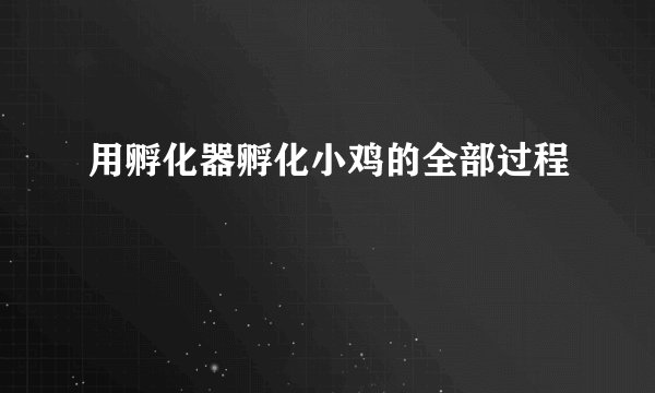 用孵化器孵化小鸡的全部过程