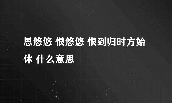 思悠悠 恨悠悠 恨到归时方始休 什么意思