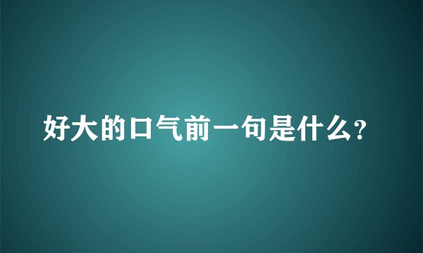 好大的口气前一句是什么？