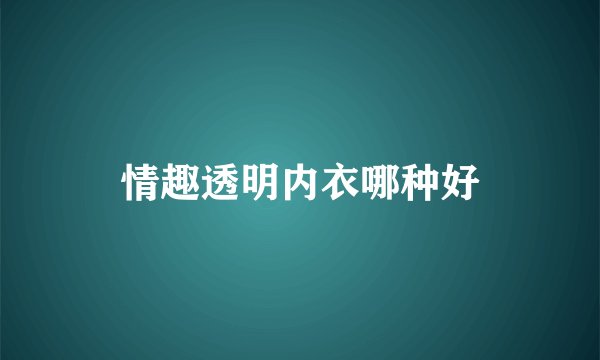 情趣透明内衣哪种好