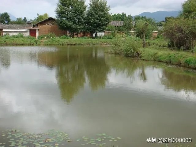 鱼塘怎样设计才好?