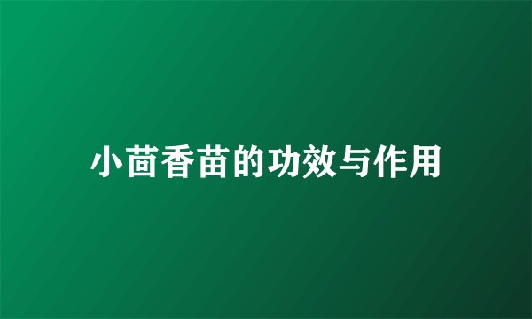 小茴香苗的功效与作用