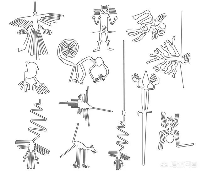 纳斯卡线条有什么神秘之处?
