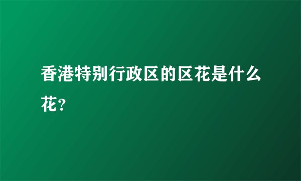 香港特别行政区的区花是什么花？