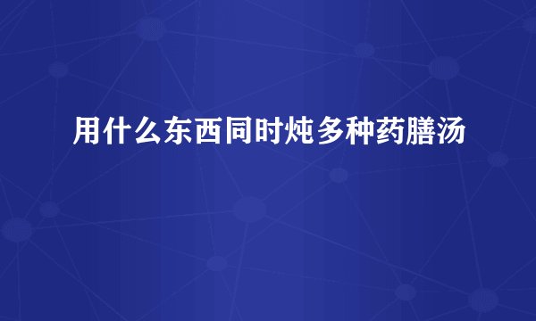 用什么东西同时炖多种药膳汤