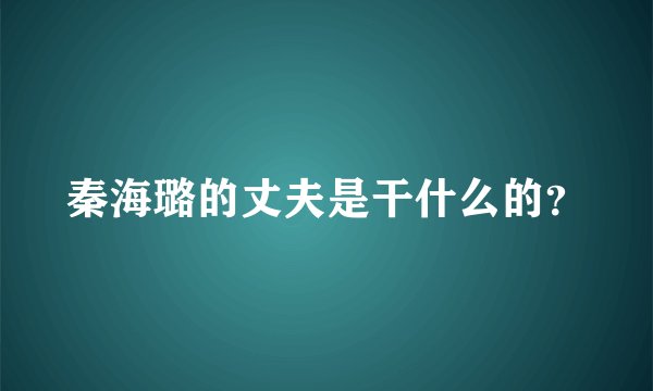 秦海璐的丈夫是干什么的？