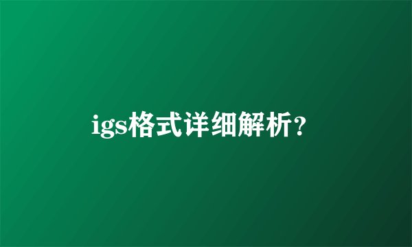 igs格式详细解析?