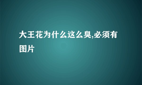 大王花为什么这么臭,必须有图片
