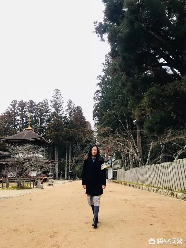 请问最近有没有去过高野山的朋友？