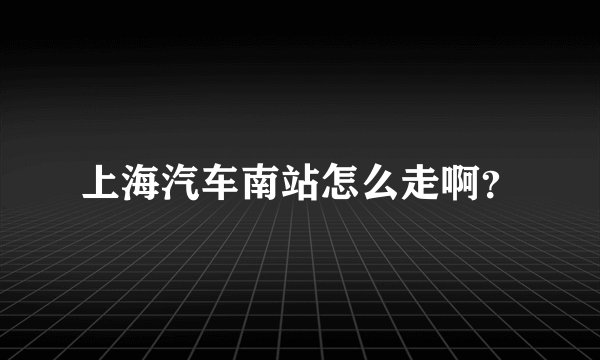 上海汽车南站怎么走啊?