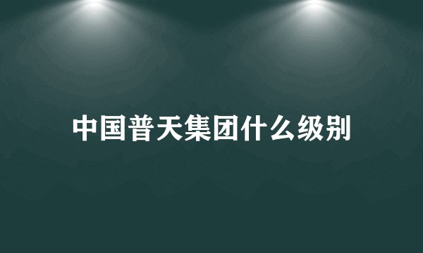 中国普天集团什么级别
