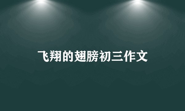 飞翔的翅膀初三作文
