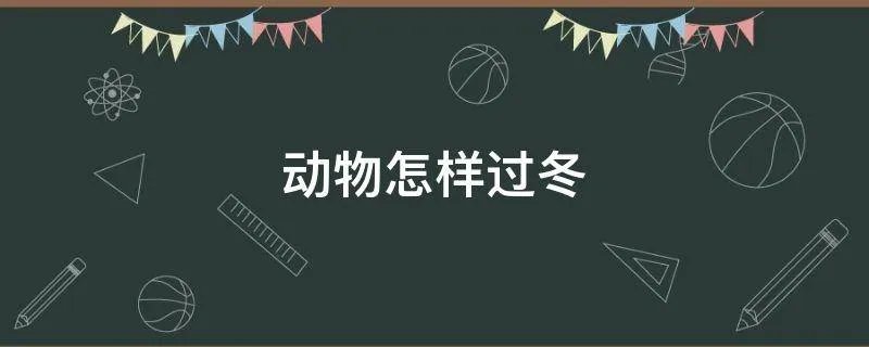 动物怎样过冬