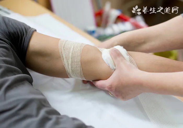 地龙的功效与作用