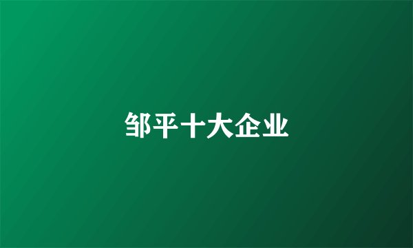 邹平十大企业