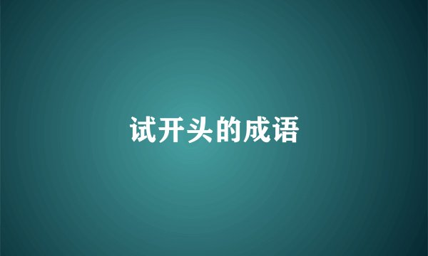 试开头的成语
