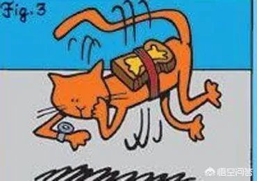 黄油猫悖论到底是否真实?