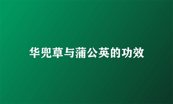 华兜草与蒲公英的功效