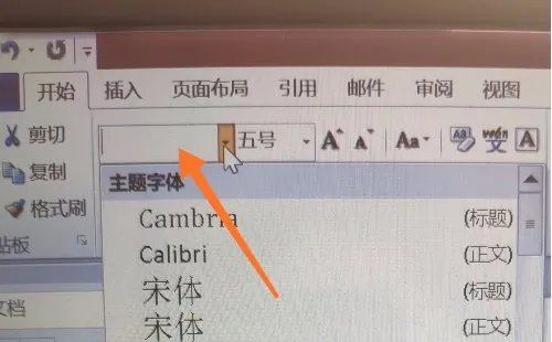 怎样将字体设置为华文彩云?我在word里的字体里没有华文彩云这一项啊
