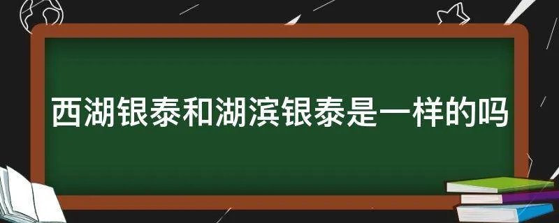 西湖银泰和湖滨银泰是一样的吗