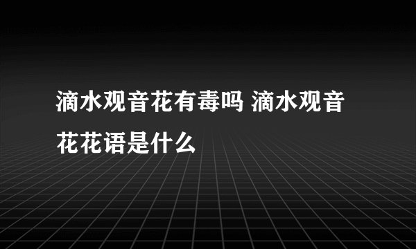 滴水观音花有毒吗 滴水观音花花语是什么