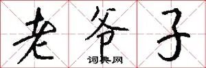 老爷子