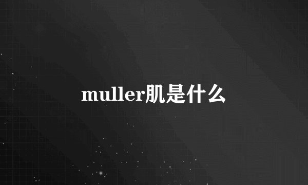 muller肌是什么
