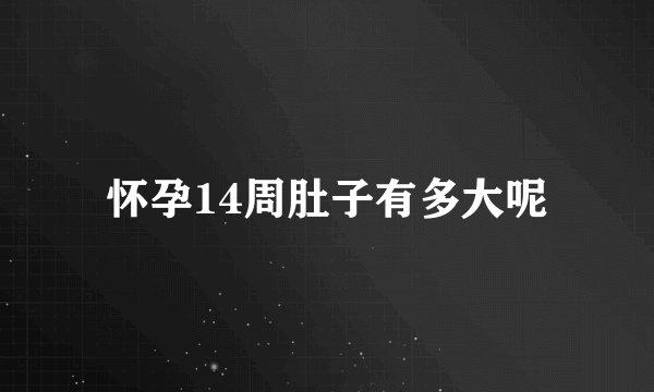 怀孕14周肚子有多大呢