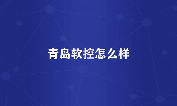 青岛软控怎么样